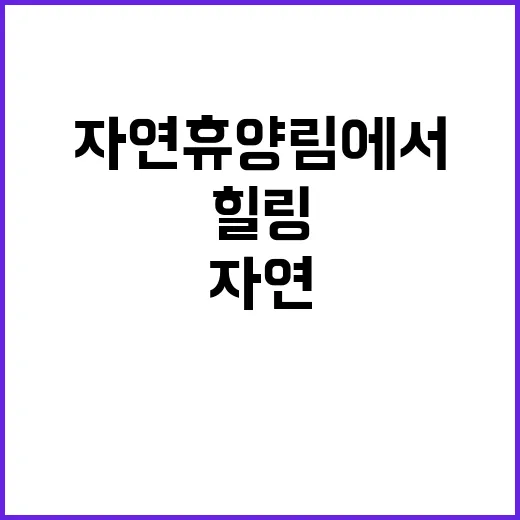 추석 명절 자연휴양…