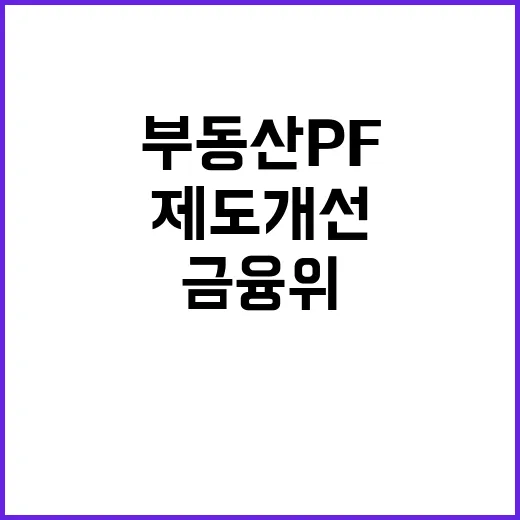 부동산 PF 금융위의 제도개선 진실은 무엇?