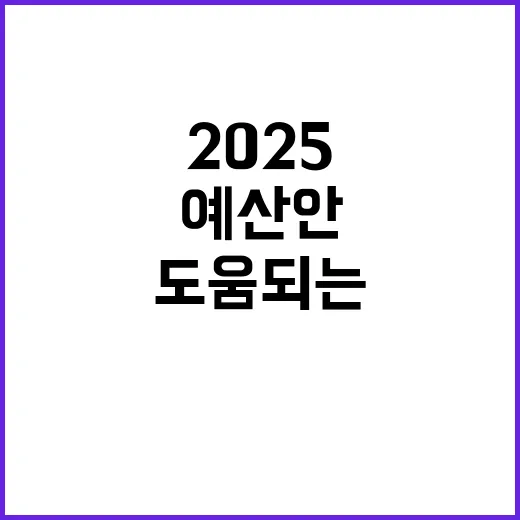 2025 예산안 살림살이에 도움 되는 정보 공개!