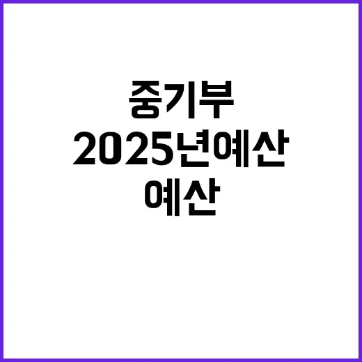 2025년 예산 중기부 “올해 대비 40% 증가!”