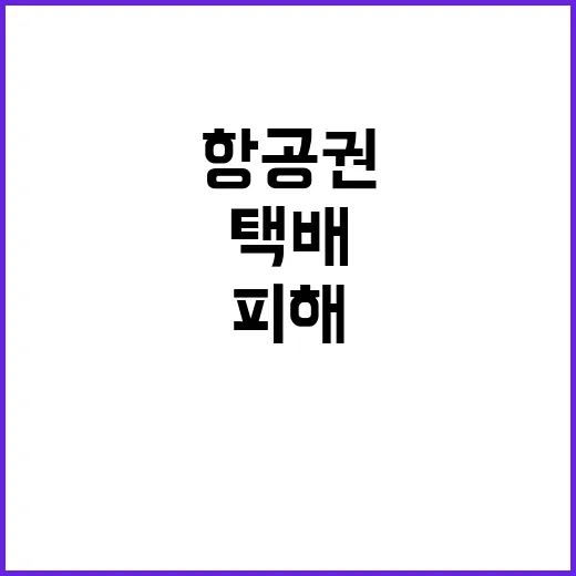 항공권 소비자 피해…