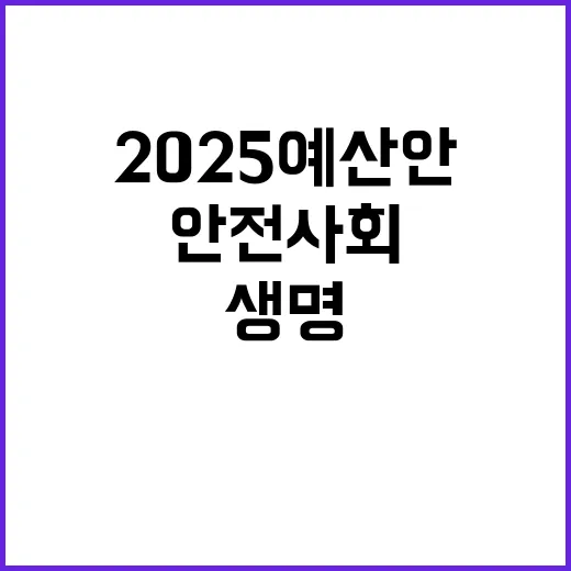 안전 사회 2025 예산안으로 생명과 재산 보호!