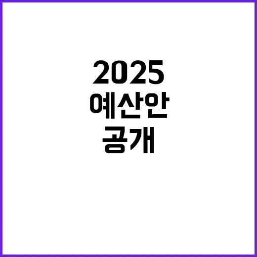 국민 안전 2025 예산안의 비밀과 변화 공개!