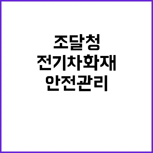 전기차 화재 조달청의 안전관리 방안 공개!