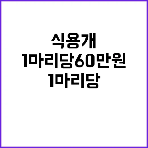 식용 개 사육 폐업…