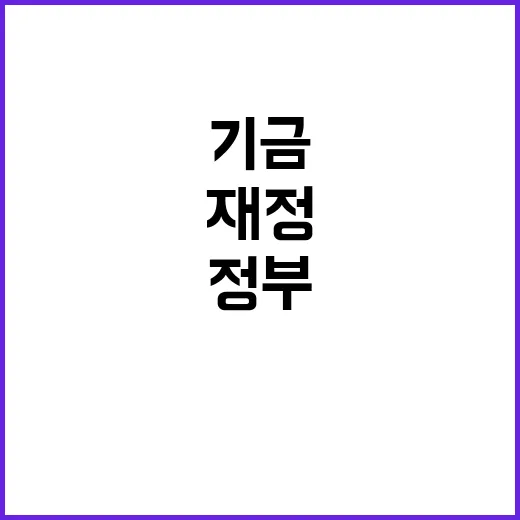 기금 정부 재정 집…