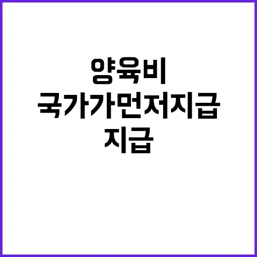 양육비 지급법 국가…