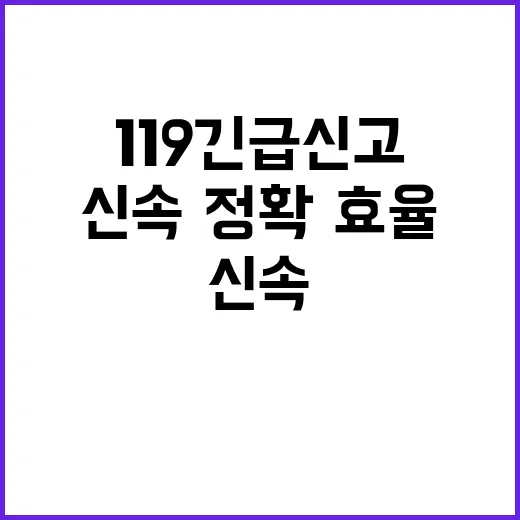 119 긴급신고 신속·정확·효율 위한 새 계획!