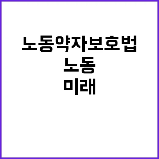 노동약자 보호법 특…