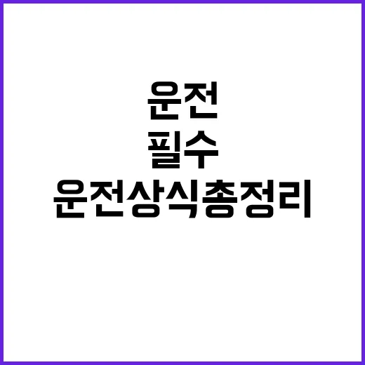 운전상식 총정리 헷갈림 방지 필수 정보!