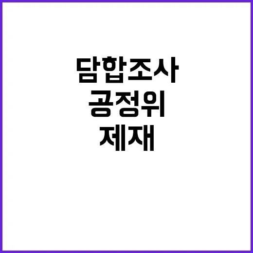 공정위의 담합 조사…