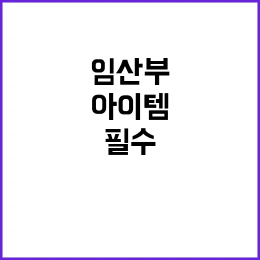 임산부 필수 아이템…