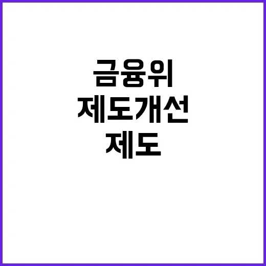 금융위 제도개선 사…