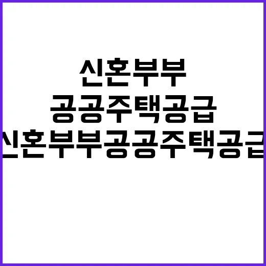 신혼부부 공공주택 공급 누구나 알기를 원한다!