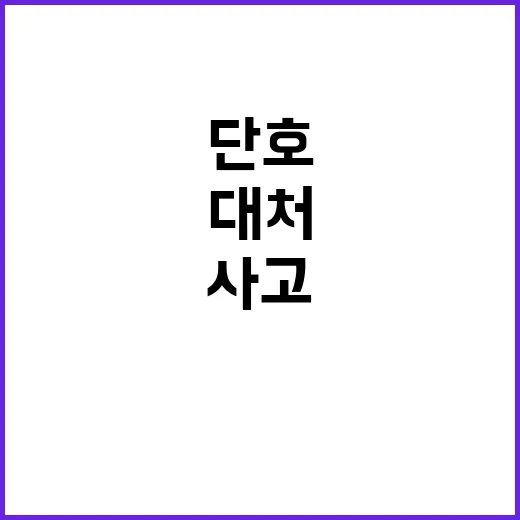 사고 대비 총리의 …