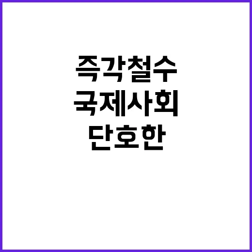 정부의 즉각 철수 …