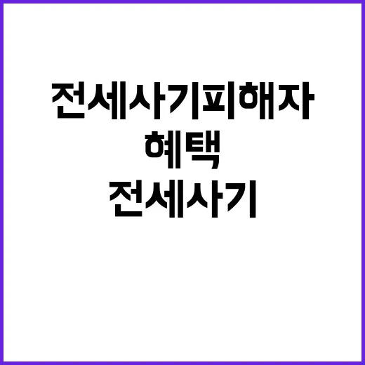 전세사기피해자 12…