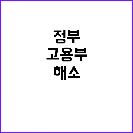 고용부 정부 신속하…