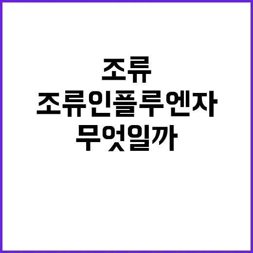 조류인플루엔자 인체…