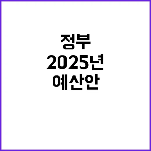 예산안 정부의 20…