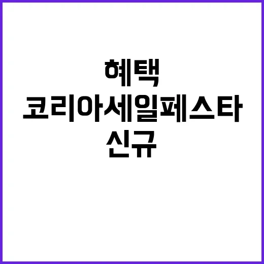 코리아세일페스타 신…