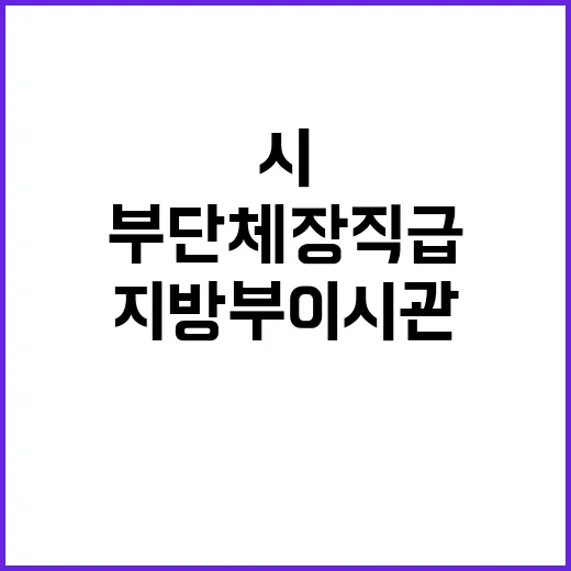 부단체장 직급 지방…