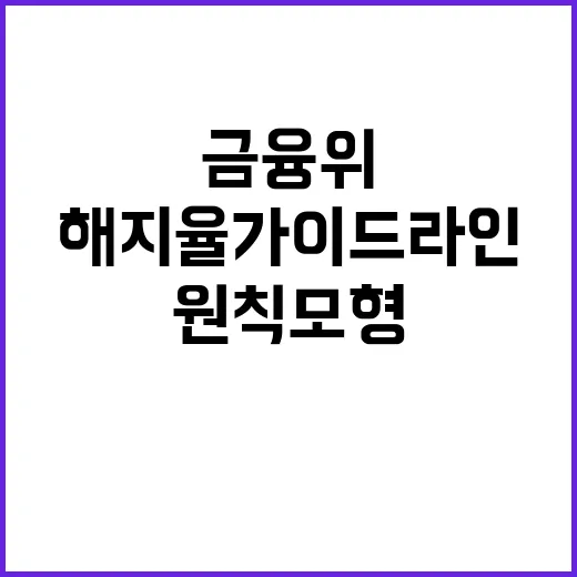 금융위 “해지율 가이드라인 원칙모형 일관성 강조”