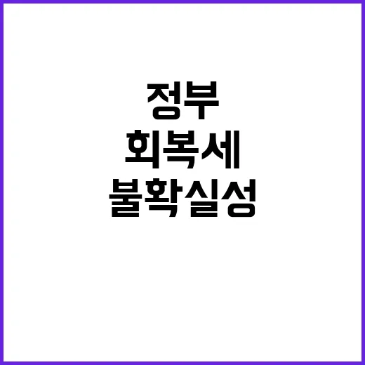 경기회복세 불확실성…