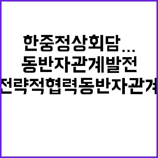 한중 정상회담…전략…