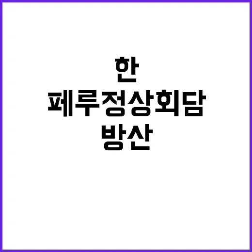 한페루 정상회담 방…