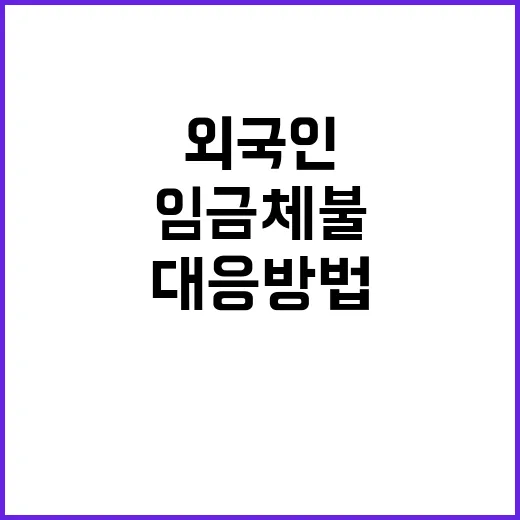 외국인근로자 임금체…