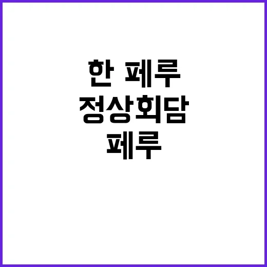 정상회담 한·페루 …