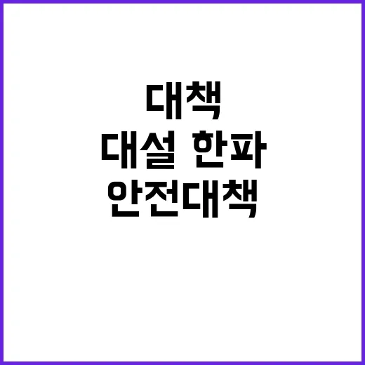 대설·한파 정부의 …