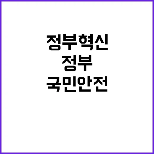 국민안전 정부 혁신…