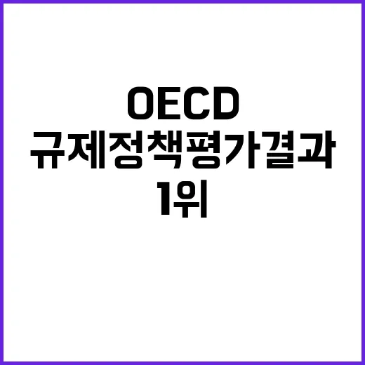 OECD 1위 규제정책 평가 결과 대혼란 예고!