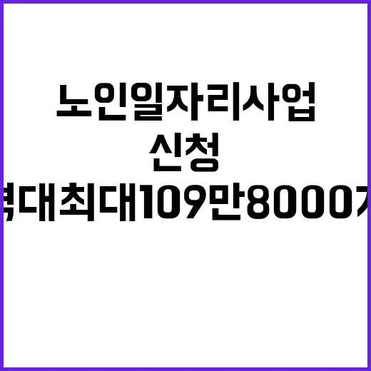 노인일자리 사업 역대 최대 109만 8000개 신청!