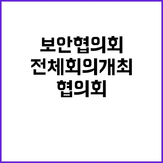 보안 협의회 대통령…