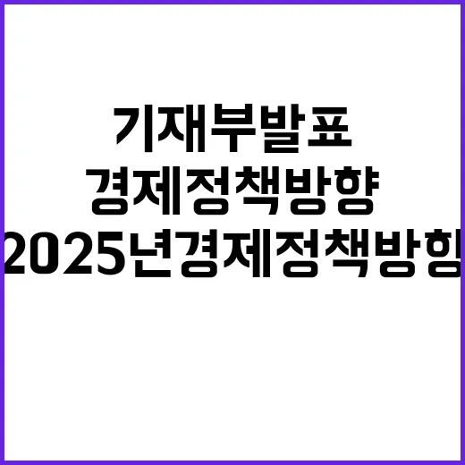 2025년 경제정책방향 기재부 발표한 사실은 이렇다!