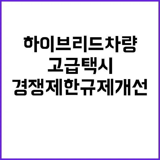 하이브리드 차량 고급택시 경쟁 제한 규제 개선?