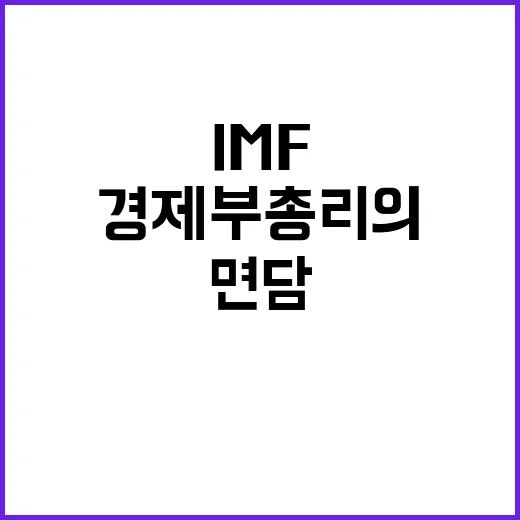 IMF 면담 경제부총리의 국가시스템 정상 운영 비밀!