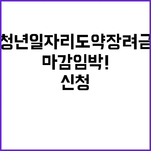 청년일자리 도약장려…