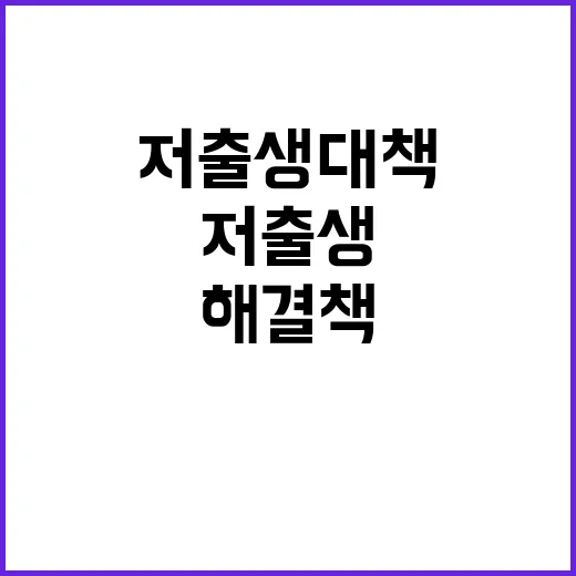 저출생 대책 새로운…