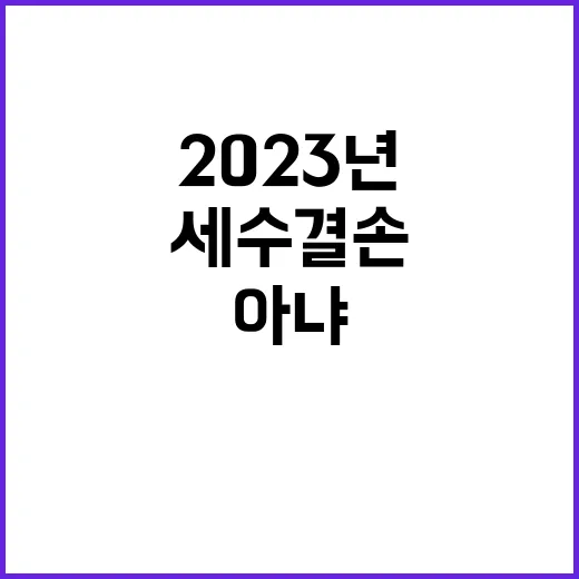 2023년 국가채무 세수결손 주장 사실이 아냐!