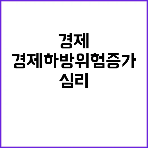 가계·기업 심리 경제 하방위험 증가 저조한 전망!