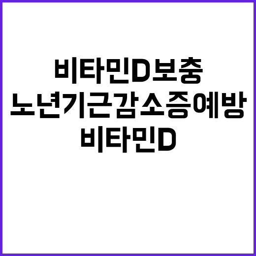 비타민D 보충 노년기 근감소증 예방 대책!