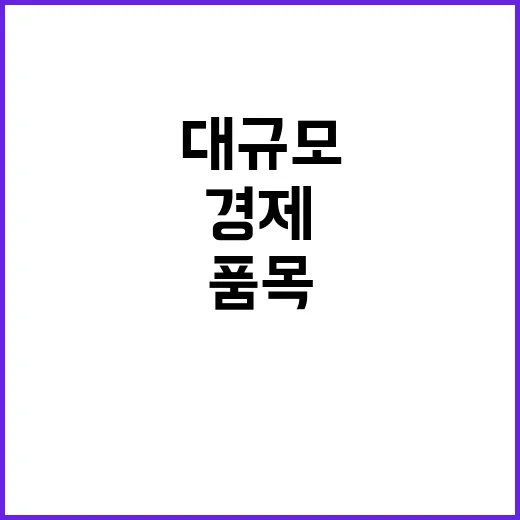 경제안보품목 특정국 의존도 줄이기 위한 대규모 투자!