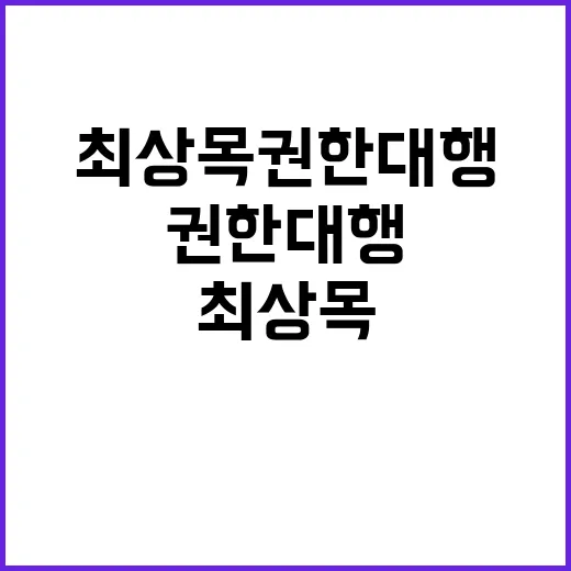 국가 안보 최상목 권한대행의 다짐과 약속!