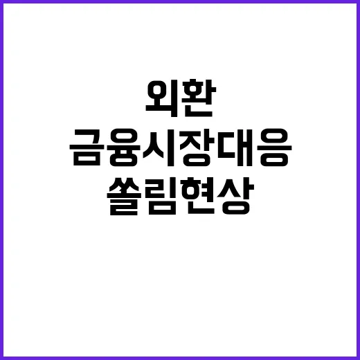 금융시장 대응 외환 쏠림현상 단호히 조치한다!