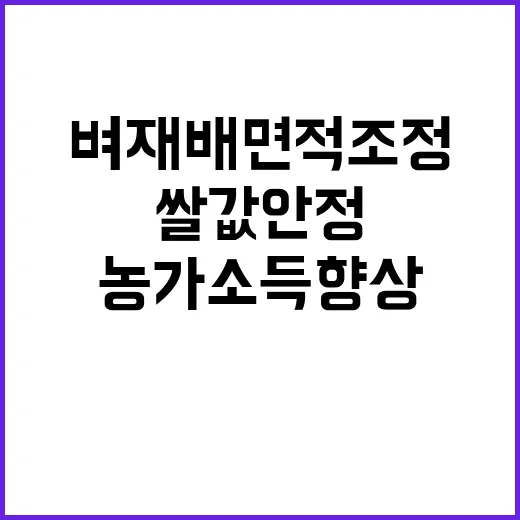 쌀값 안정 농가소득 향상 벼 재배면적 조정!