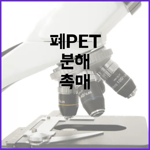 폐 PET 분해 촉…